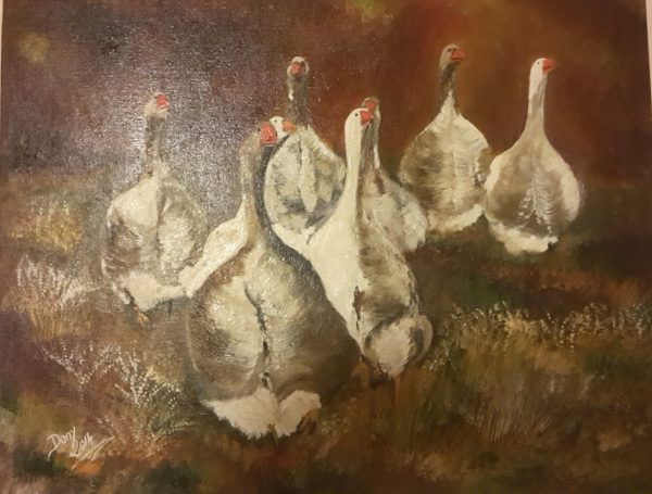 Des six oies avec des plumes brunes et blanches sur un fond de terre.
