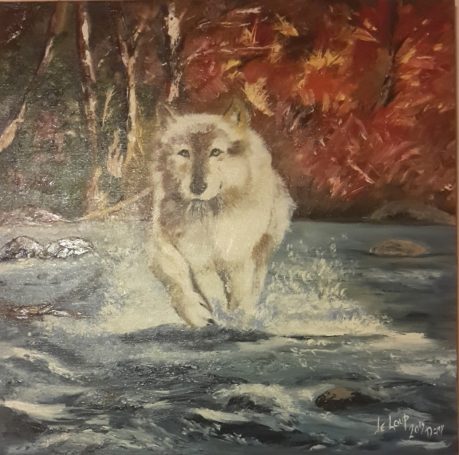 Loup gris courant dans une rivière entourée d'arbres aux couleurs automnales.